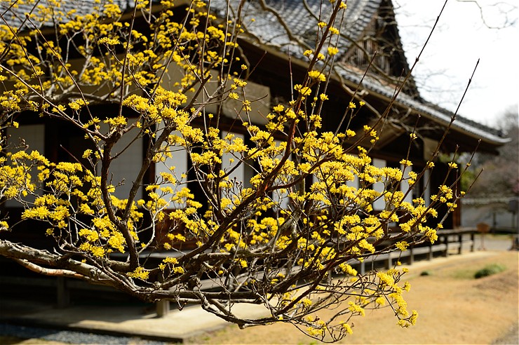 f0222161_1074890.jpg
