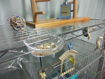 f0196665_2203853.jpg