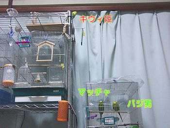 f0196665_22144577.jpg