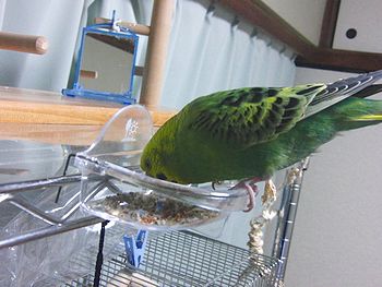 f0196665_2242955.jpg