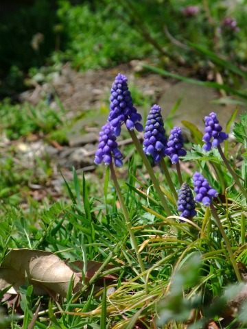 e0045768_22111881.jpg