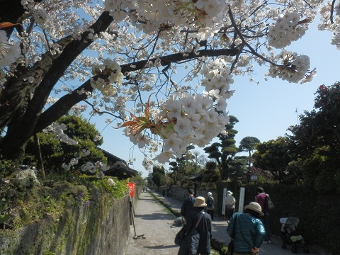 c0042869_6511579.jpg