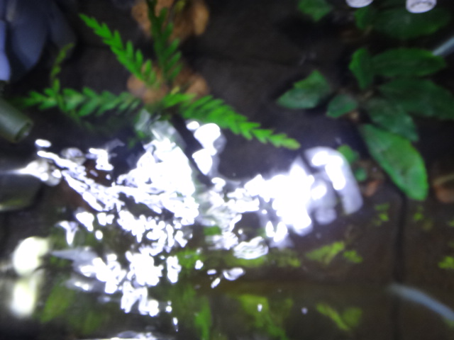 c0225669_215956100.jpg