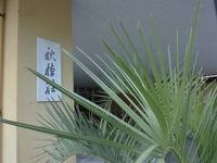 c0216472_20513110.jpg