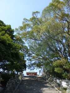 c0216472_2056366.jpg