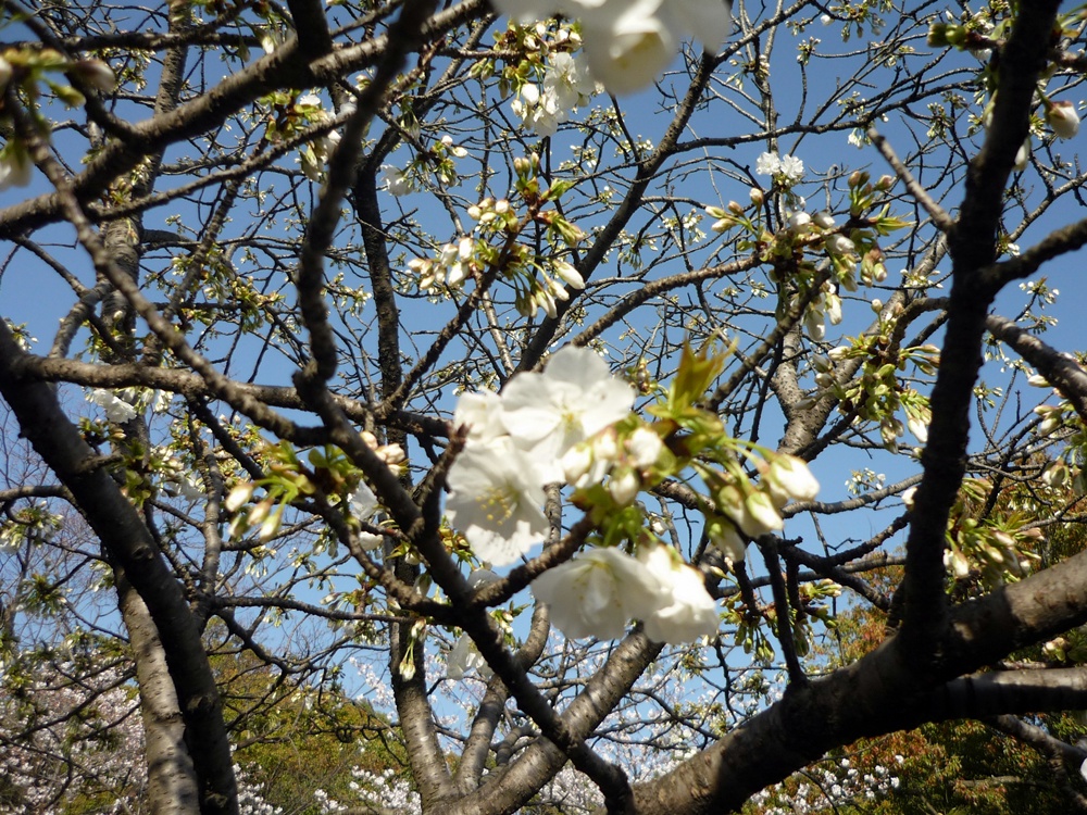 c0125283_12205984.jpg