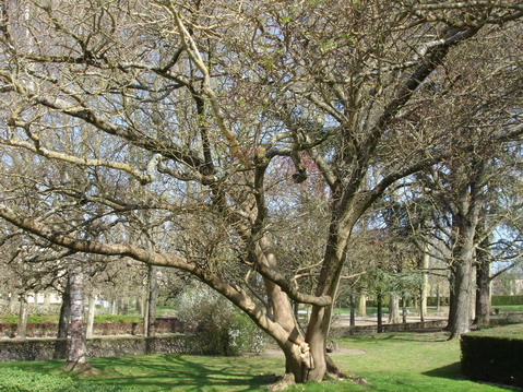 a0247585_21444088.jpg