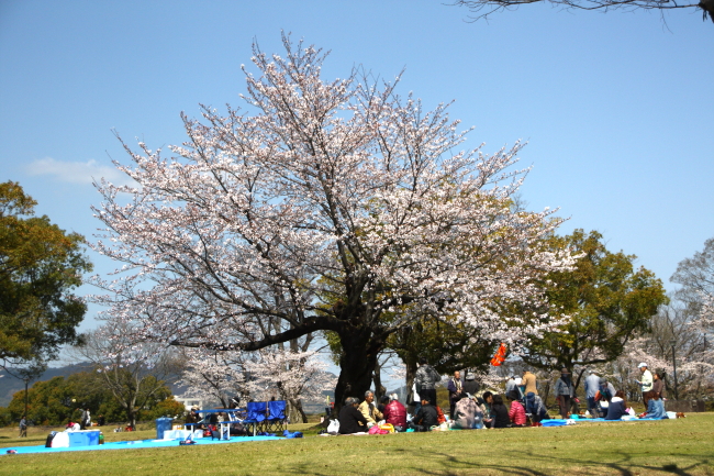 f0189385_0132853.jpg