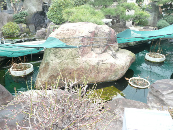b0118987_741999.jpg