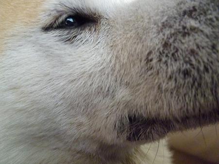 c0123890_21531413.jpg