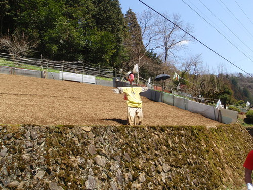 d0034291_1964118.jpg