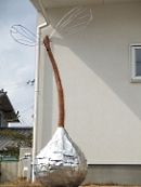 a0231693_2353247.png