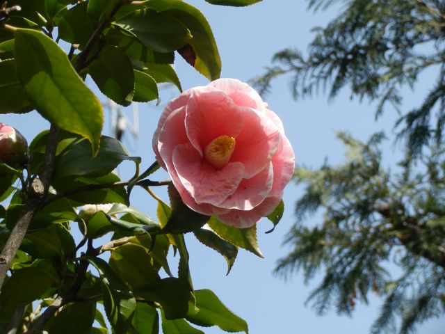 f0130894_2163933.jpg