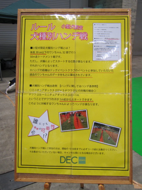 d0098295_011033.jpg