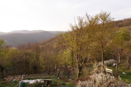 f0106597_210126.jpg