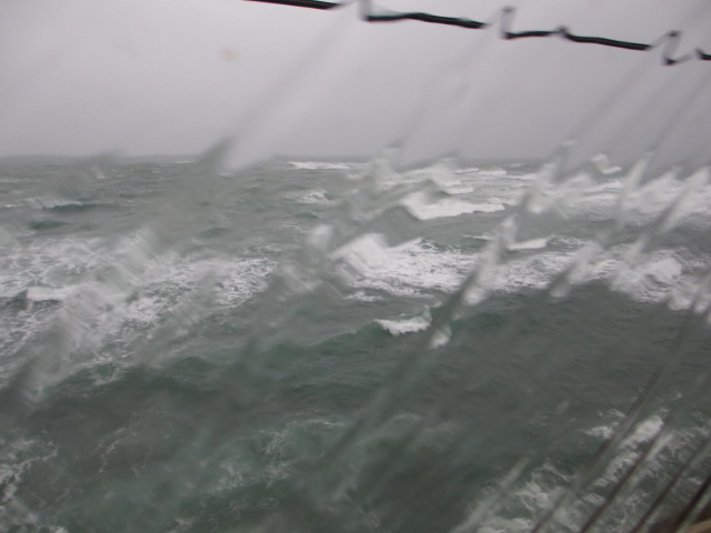 a0193698_2117592.jpg