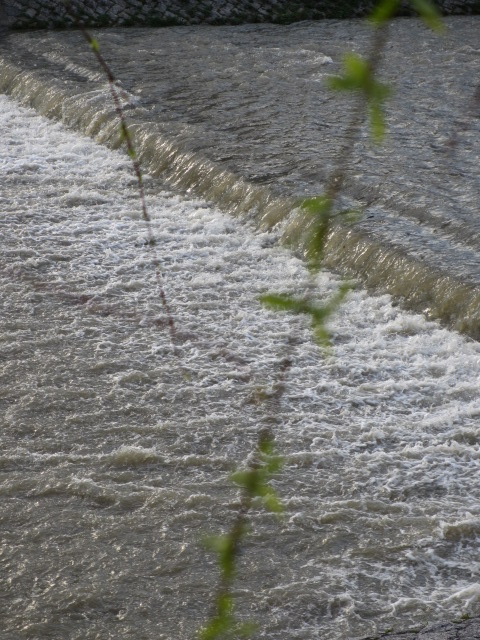 a0193698_21252392.jpg