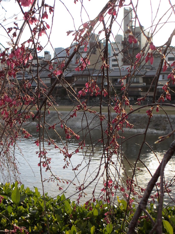 a0193698_213031.jpg