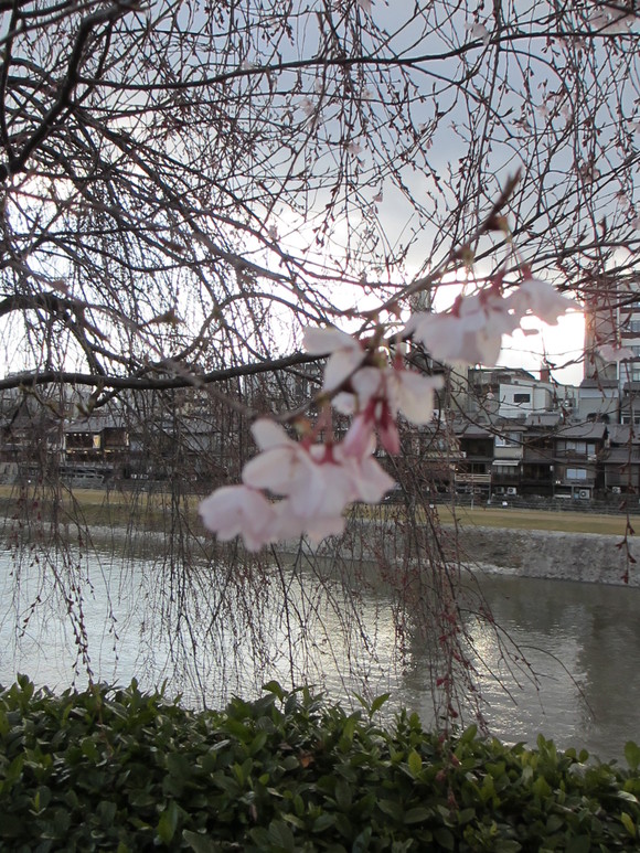 a0193698_21304258.jpg