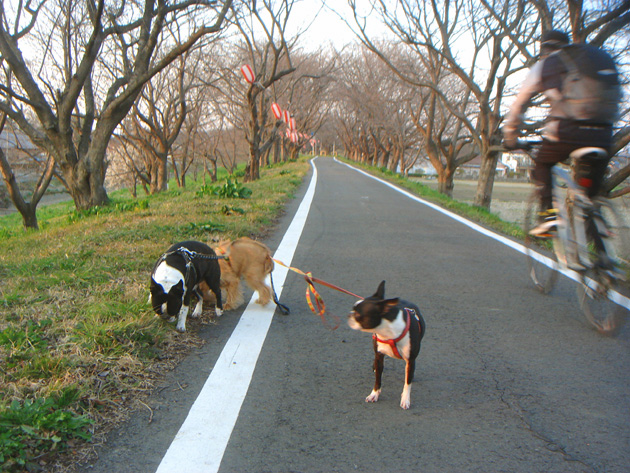 c0094999_142621.jpg