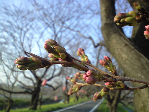 c0094999_1857561.jpg