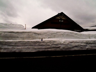 a0159702_2195232.jpg
