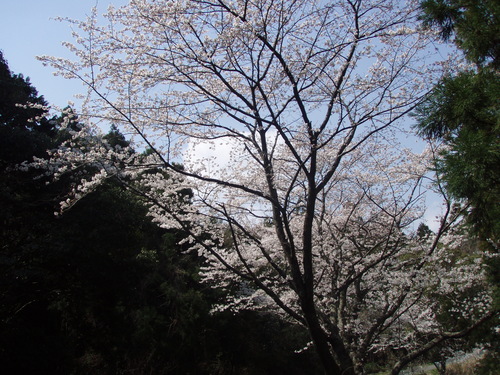 b0121015_21114491.jpg