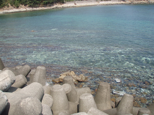 b0121015_2154491.jpg