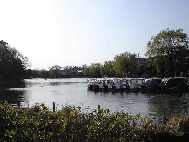 d0149615_0132576.jpg