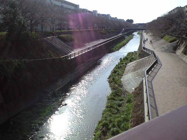 d0149615_0165712.jpg