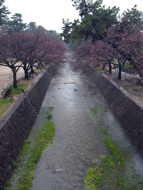 e0083517_18532250.jpg