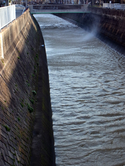 e0083517_1856245.jpg