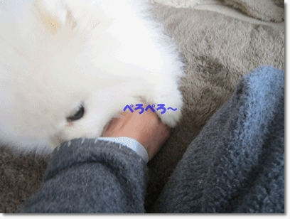 b0167519_21544385.gif