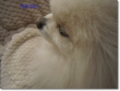 b0167519_215810100.gif