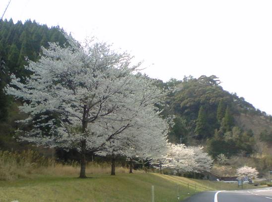 c0097620_18173960.jpg