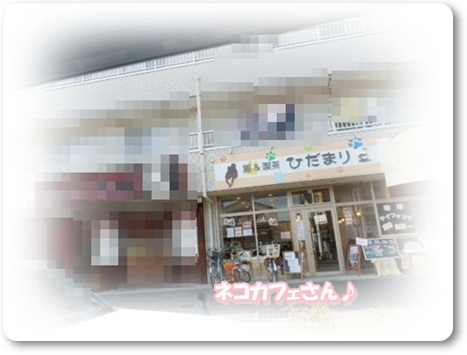 f0182121_922956.jpg