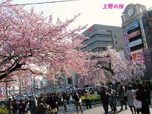 e0047322_18573880.jpg