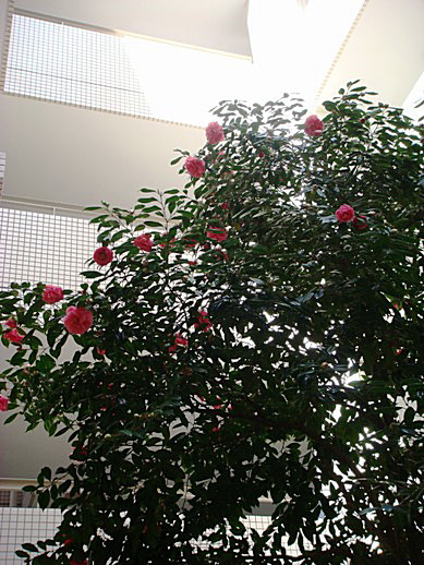 b0068423_2181784.jpg