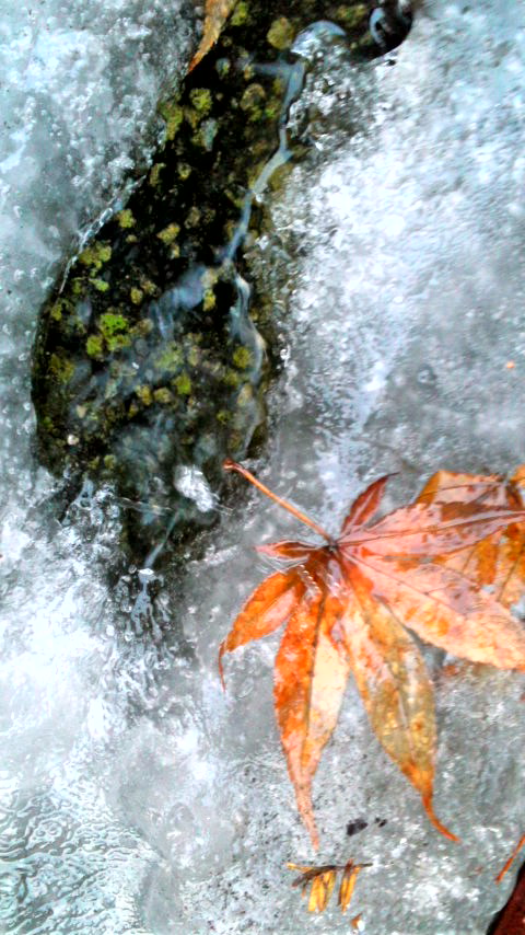 e0258023_0421122.jpg