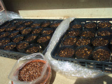 b0008825_15145888.jpg