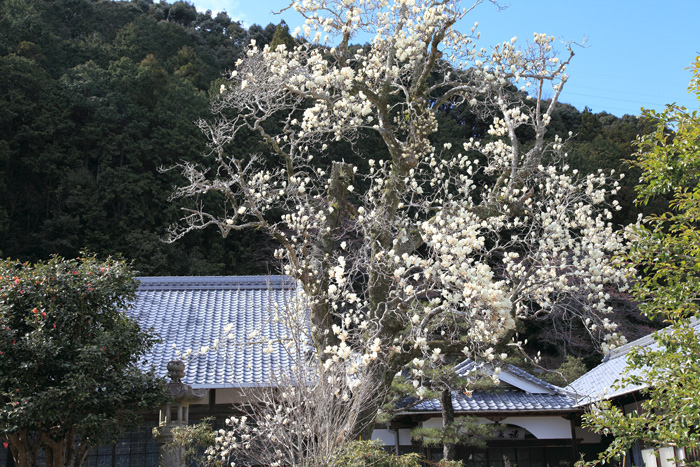 e0025930_18292533.jpg