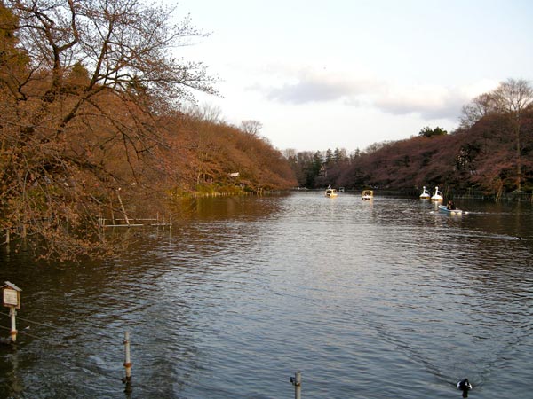 e0247832_144515.jpg