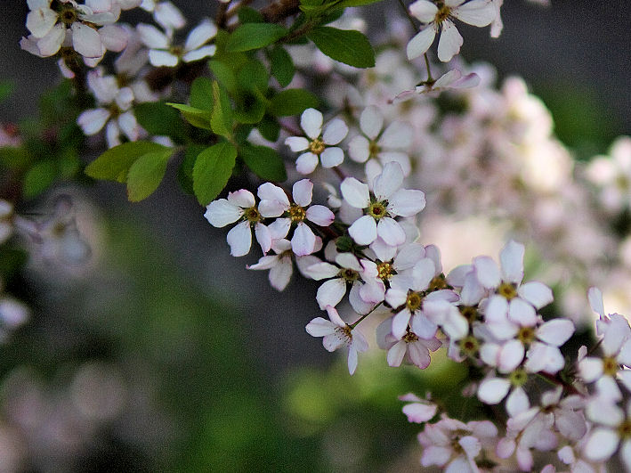 d0213034_1362849.jpg