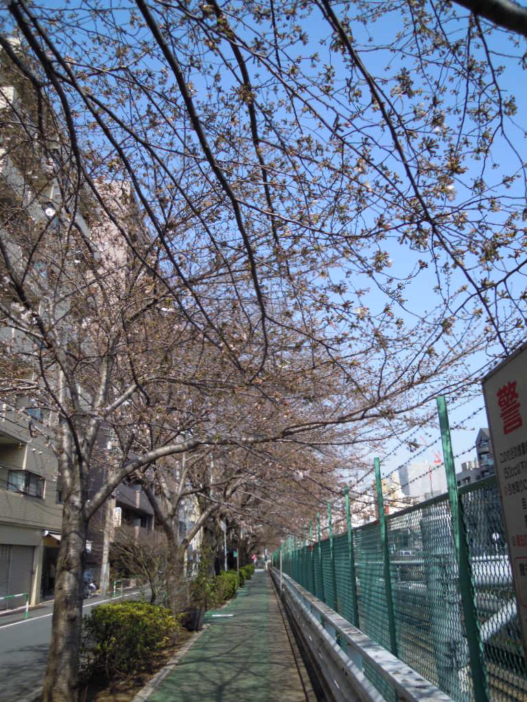 e0081334_1285199.jpg