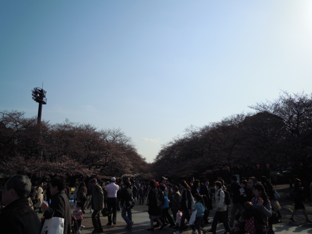 e0081334_1492837.jpg