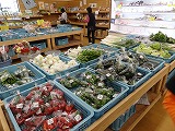f0167635_5595521.jpg