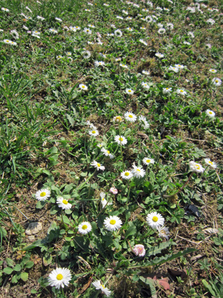 f0234936_5495173.jpg