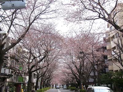 b0019140_1215120.jpg