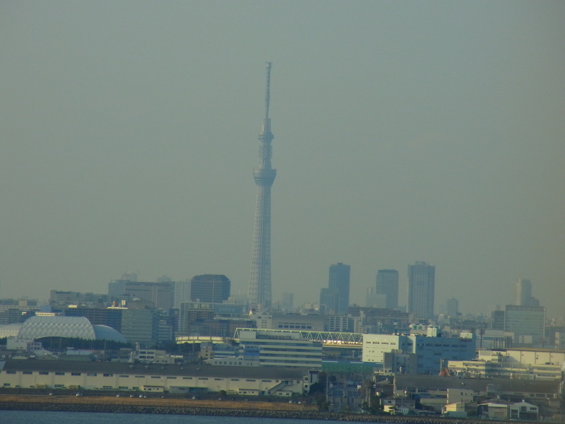b0190242_11472998.jpg