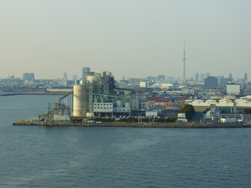 b0190242_114742100.jpg